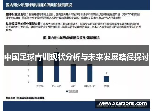 中国足球青训现状分析与未来发展路径探讨