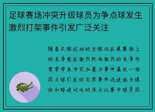 足球赛场冲突升级球员为争点球发生激烈打架事件引发广泛关注